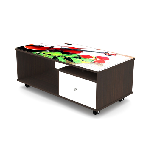 SCT 320 Coffee Table